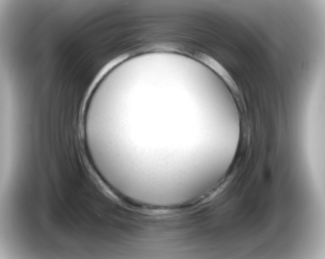 X0000085791436200704091422