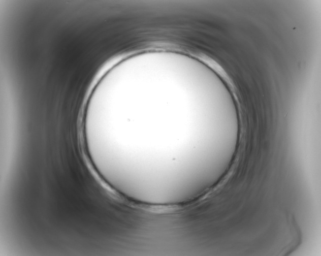 X0000085791440200704091422