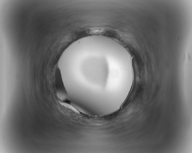 X0000085791441200704091421