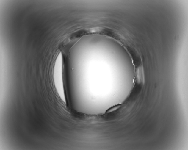 X0000085791443200704091421