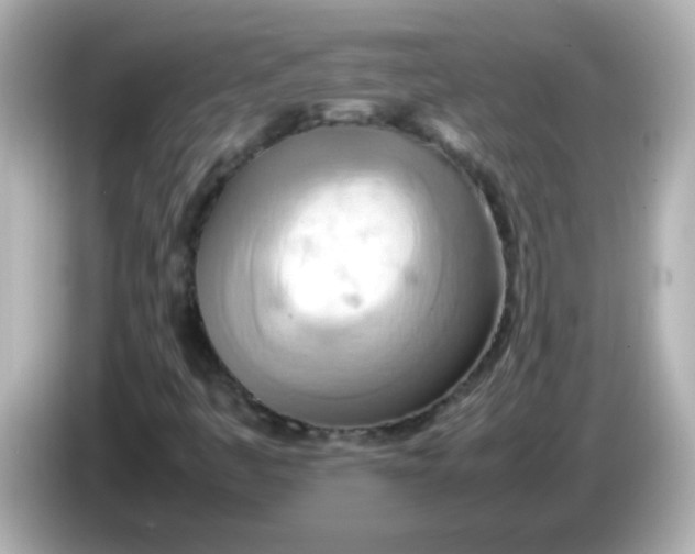 X0000085791445200704091421
