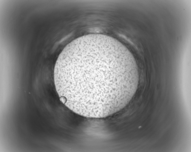 X0000085791446200704091421