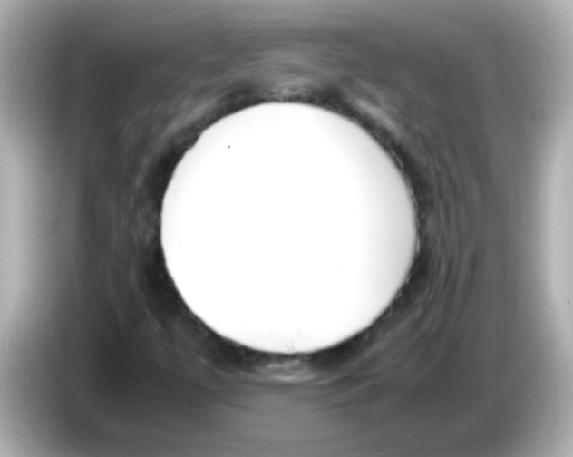X0000085791447200704091421