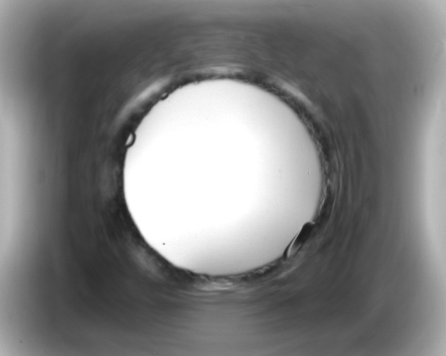 X0000085791448200704091421