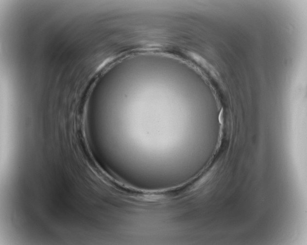 X0000085791449200704091421