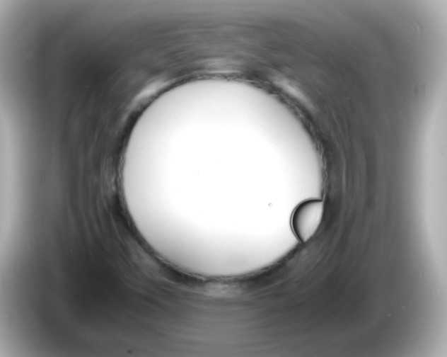 X0000085791451200704091421
