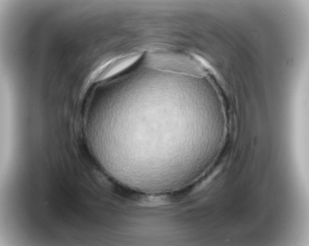 X0000085791453200704091421