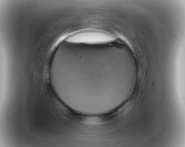 X0000085791455200704091421