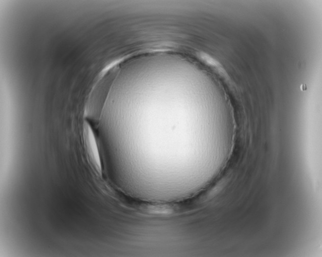 X0000085791457200704091421