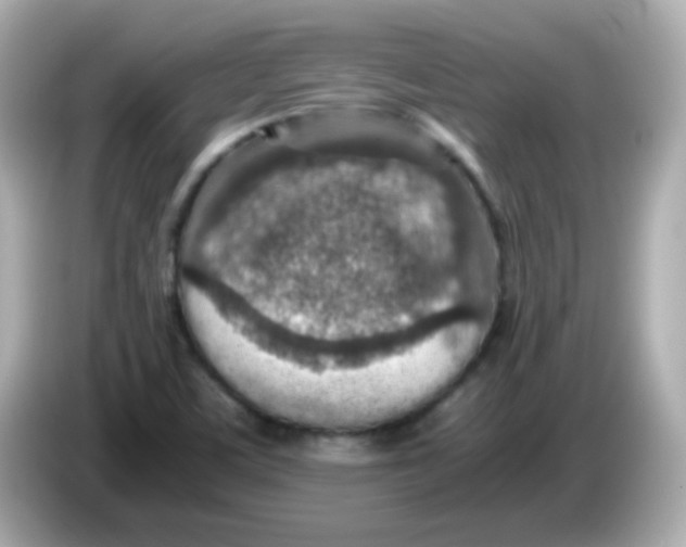 X0000085791459200704091421