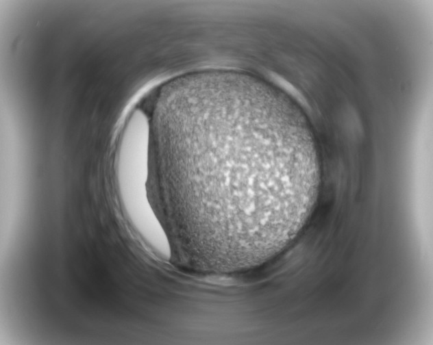 X0000085791463200704091421