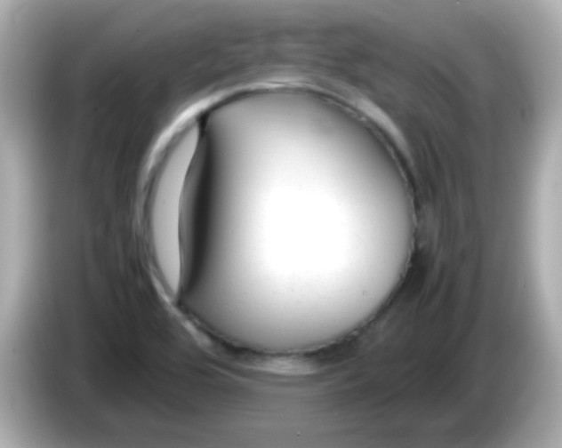 X0000085791464200704091421
