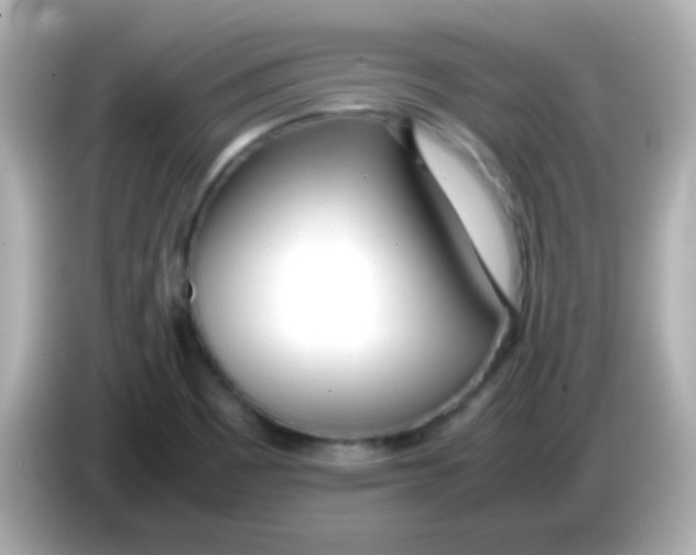 X0000085791465200704091421