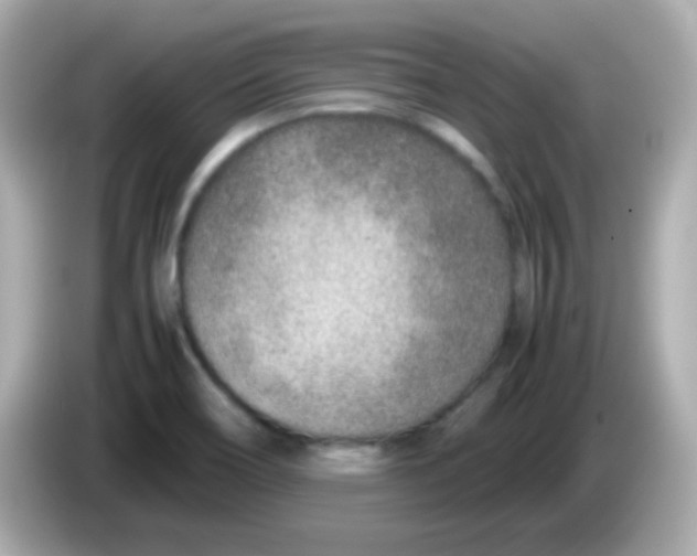 X0000085791466200704091421