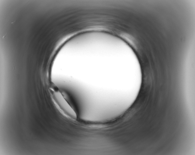 X0000085791468200704091421