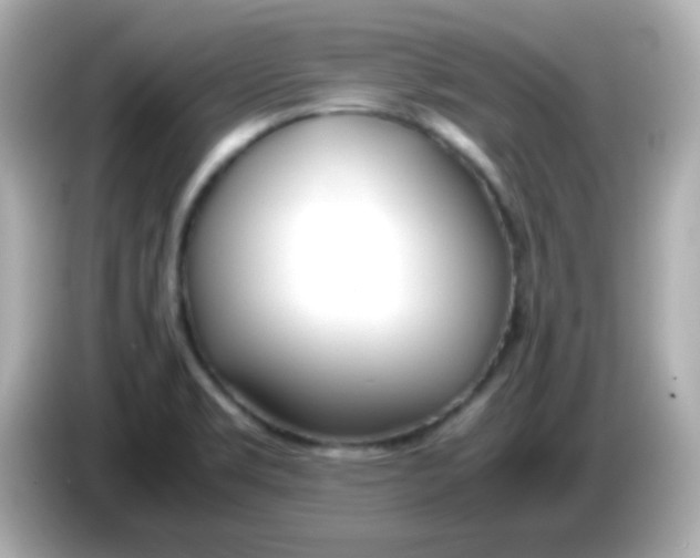 X0000085791469200704091421