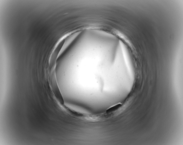X0000085791473200704091421