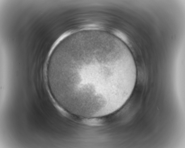 X0000085791474200704091421