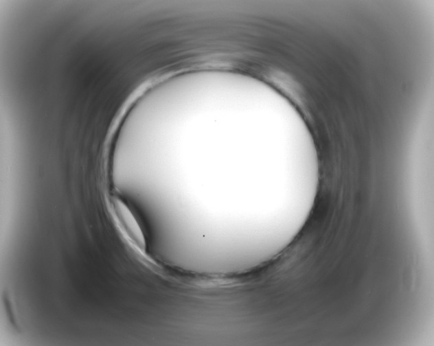 X0000085791475200704091421