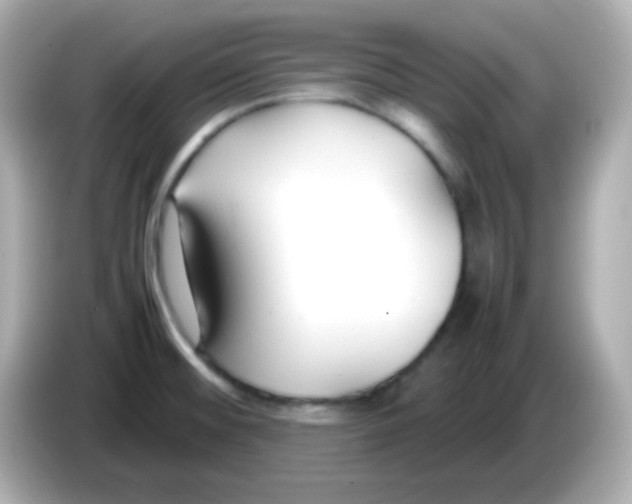 X0000085791476200704091421
