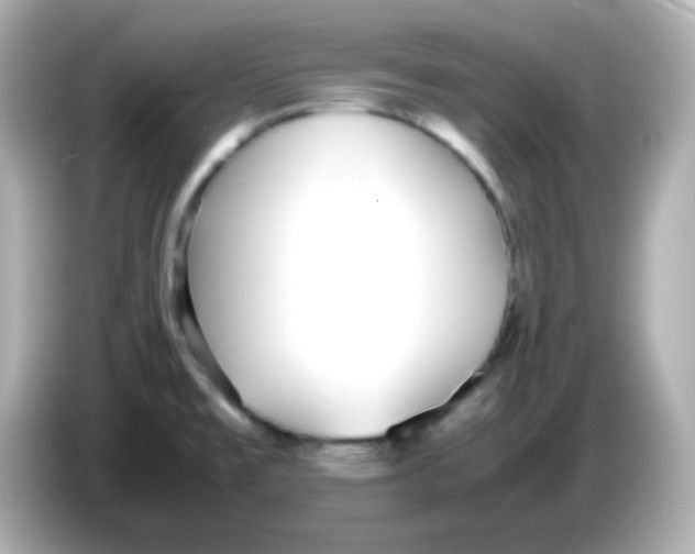 X0000085791477200704091421