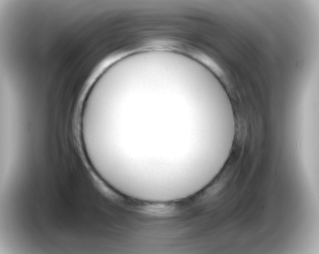 X0000085791478200704091421