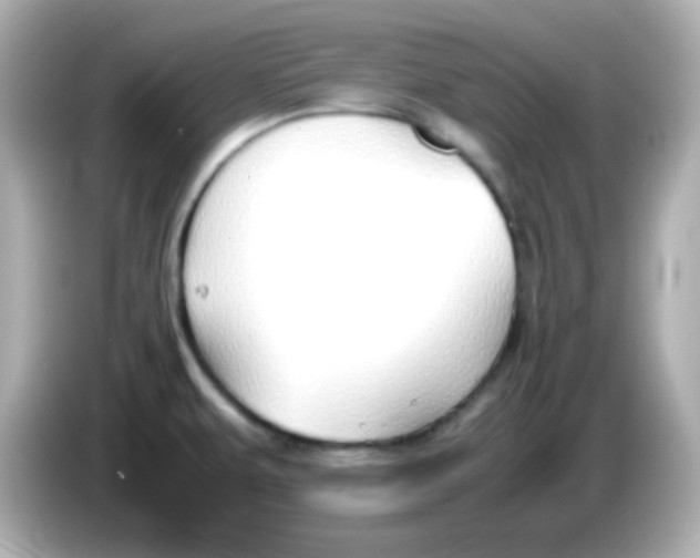 X0000085791479200704091421