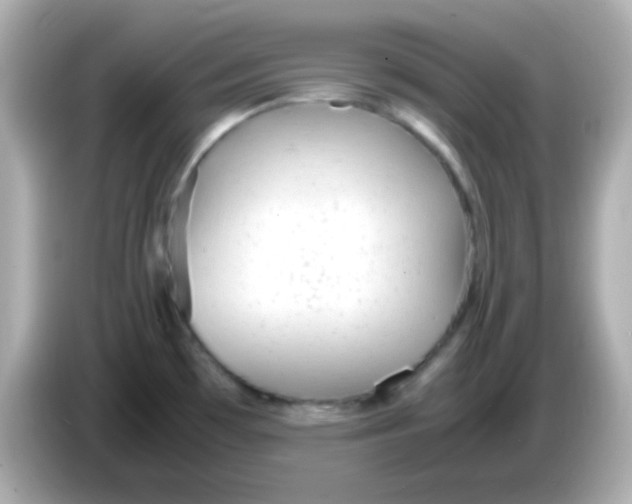 X0000085791481200704091421