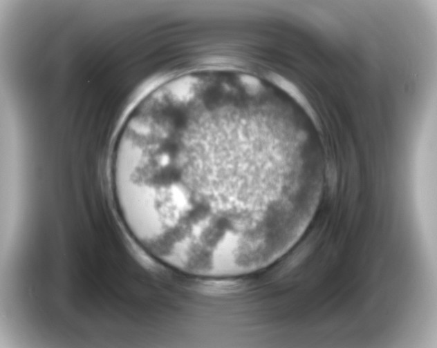 X0000085791482200704091421