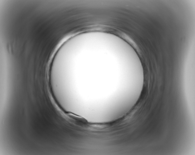 X0000085791483200704091421