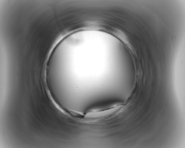 X0000085791484200704091421