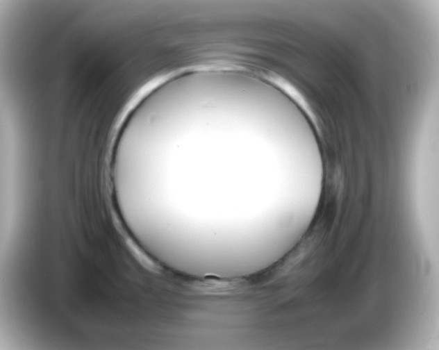 X0000085791485200704091421