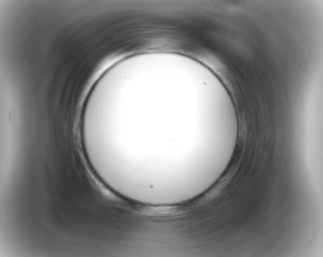 X0000085791486200704091421