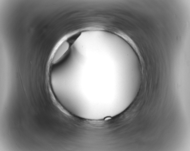 X0000085791488200704091421