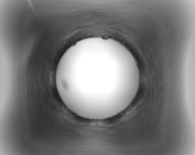 X0000085791490200704091420