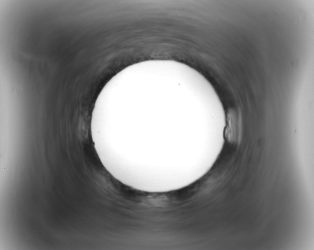 X0000085791491200704091420