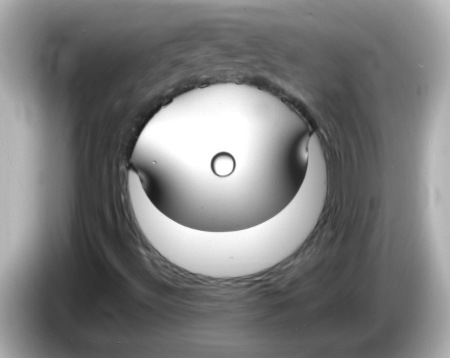 X0000085791492200704091420
