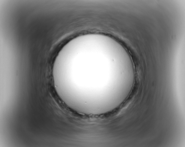 X0000085791494200704091420