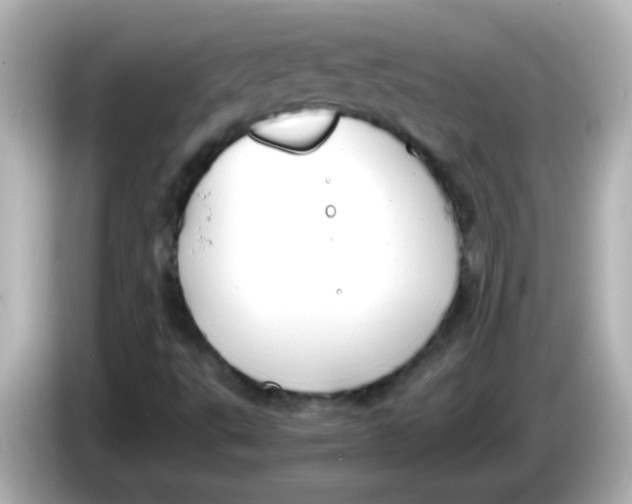X0000085791495200704091420