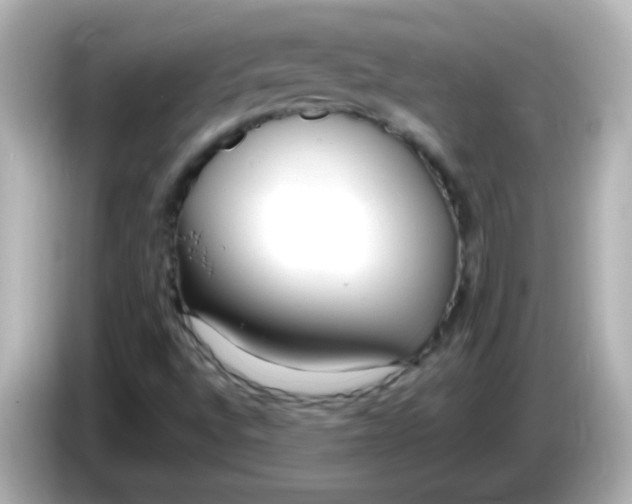 X0000085791496200704091420