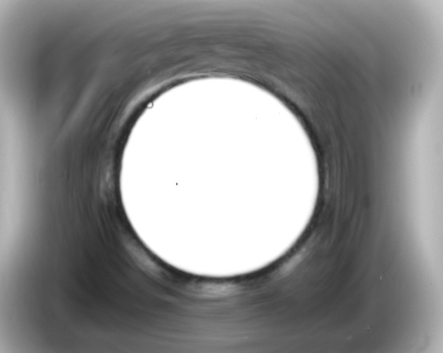 X0000085791498200704091420