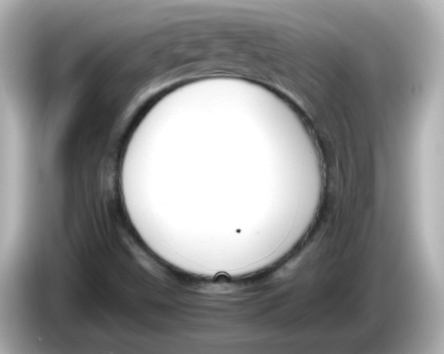 X0000085791499200704091420