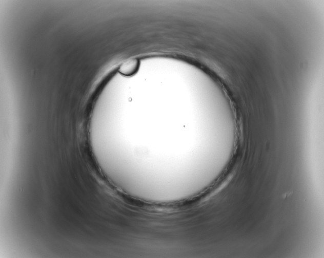 X0000085791501200704091420