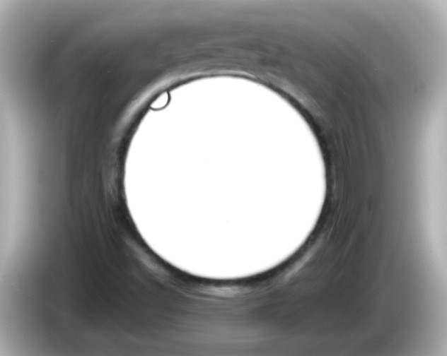 X0000085791502200704091420