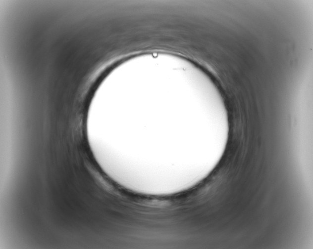 X0000085791503200704091420