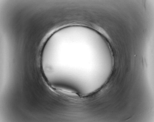 X0000085791504200704091420