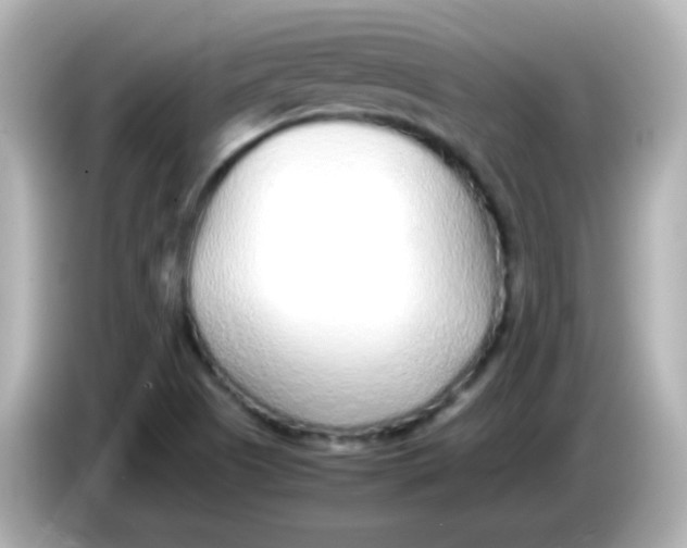 X0000085791505200704091420