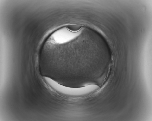 X0000085791506200704091420