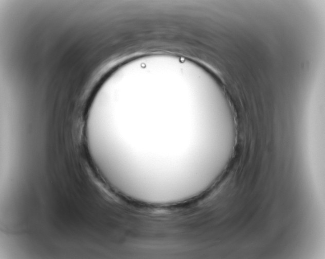 X0000085791507200704091420