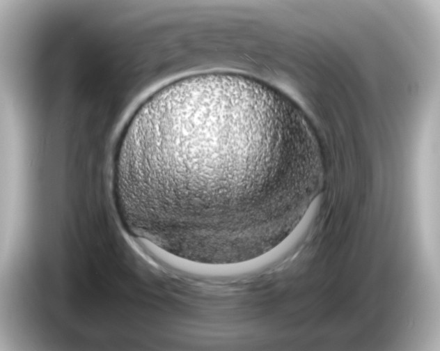 X0000085791508200704091420